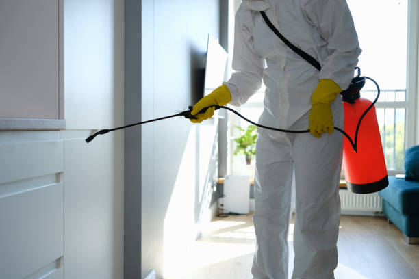 Best Mold Remediation  in Bangor, MI